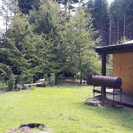 Alihuen Cabanas Cab 3 San Carlos de Bariloche Esterno foto
