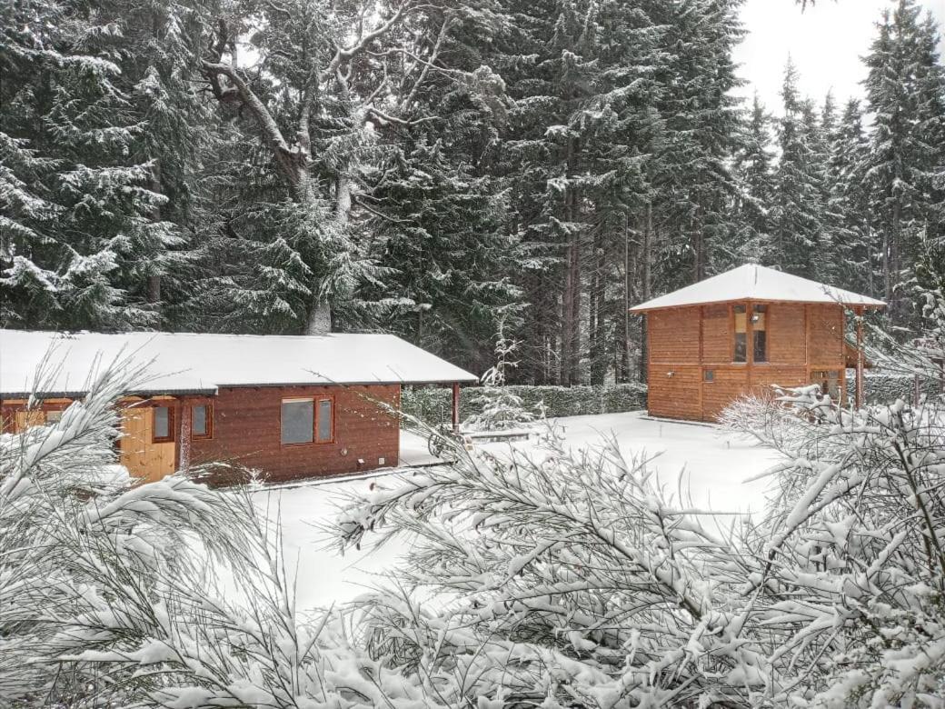 Alihuen Cabanas Cab 3 San Carlos de Bariloche Esterno foto
